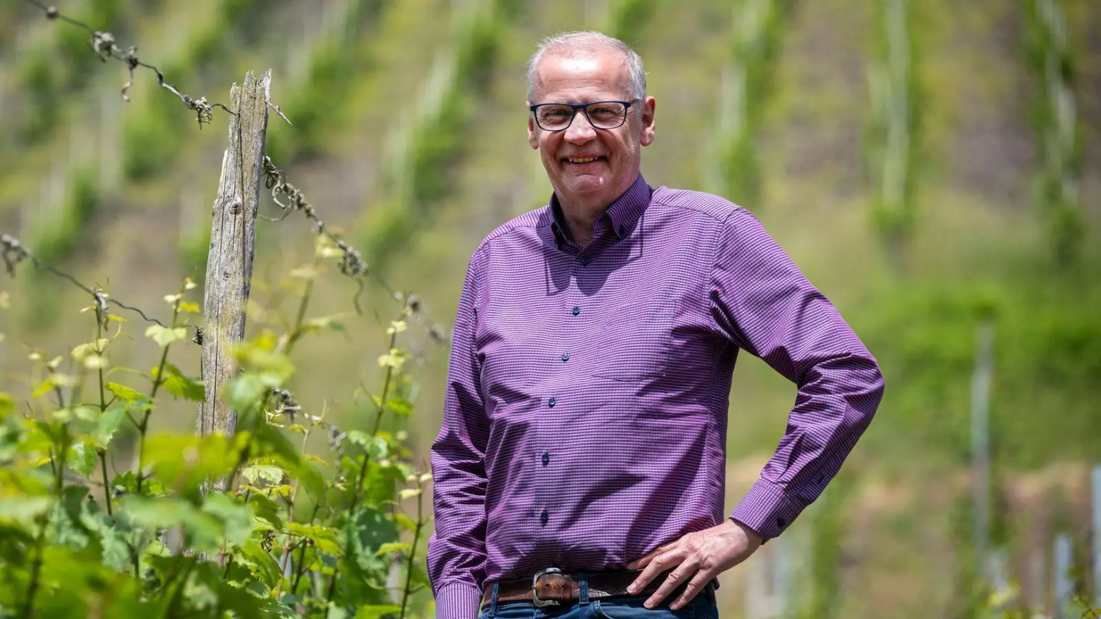 Zwischen den Riesling-Reben: Abseits des Fernsehstudios ist Günther Jauch gerne auf seinem Weingut an der Saar. (Archivbild) (Foto: Harald Tittel/dpa)