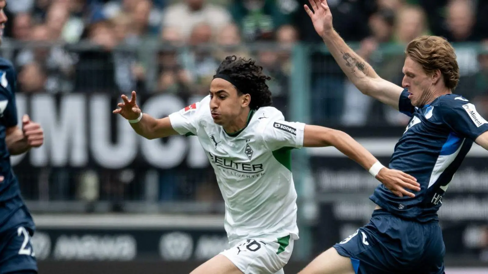 Hoffenheim unterlag Borussia Mönchengladbach. (Foto: Fabian Strauch/dpa)