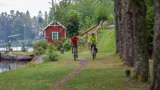 Radtouristen in Schweden können den Vänern im Sommer auf einem neuen Radwanderweg umrunden. Der Vänerleden wird am 3. Juni eingeweiht. (Foto: Tony Ryman/Unionsleden/dpa-tmn)