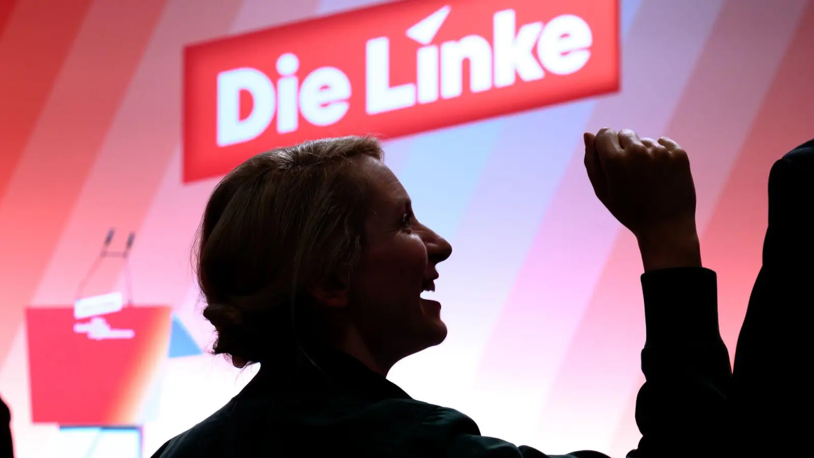 Linken-Chefin Ines Schwerdtner nennt den rasanten Mitgliederzuwachs ihrer Partei einen Wahnsinnserfolg. (Archivbild) (Foto: Hendrik Schmidt/dpa)