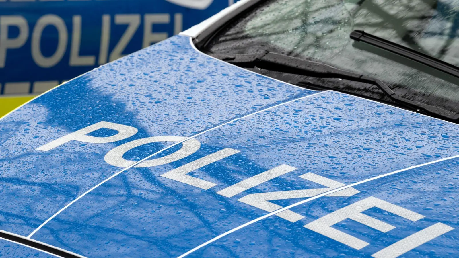 Der Mann wurde in ein Krankenhaus mit psychiatrischer Betreuung gebracht. (Symbolbild) (Foto: Soeren Stache/dpa)