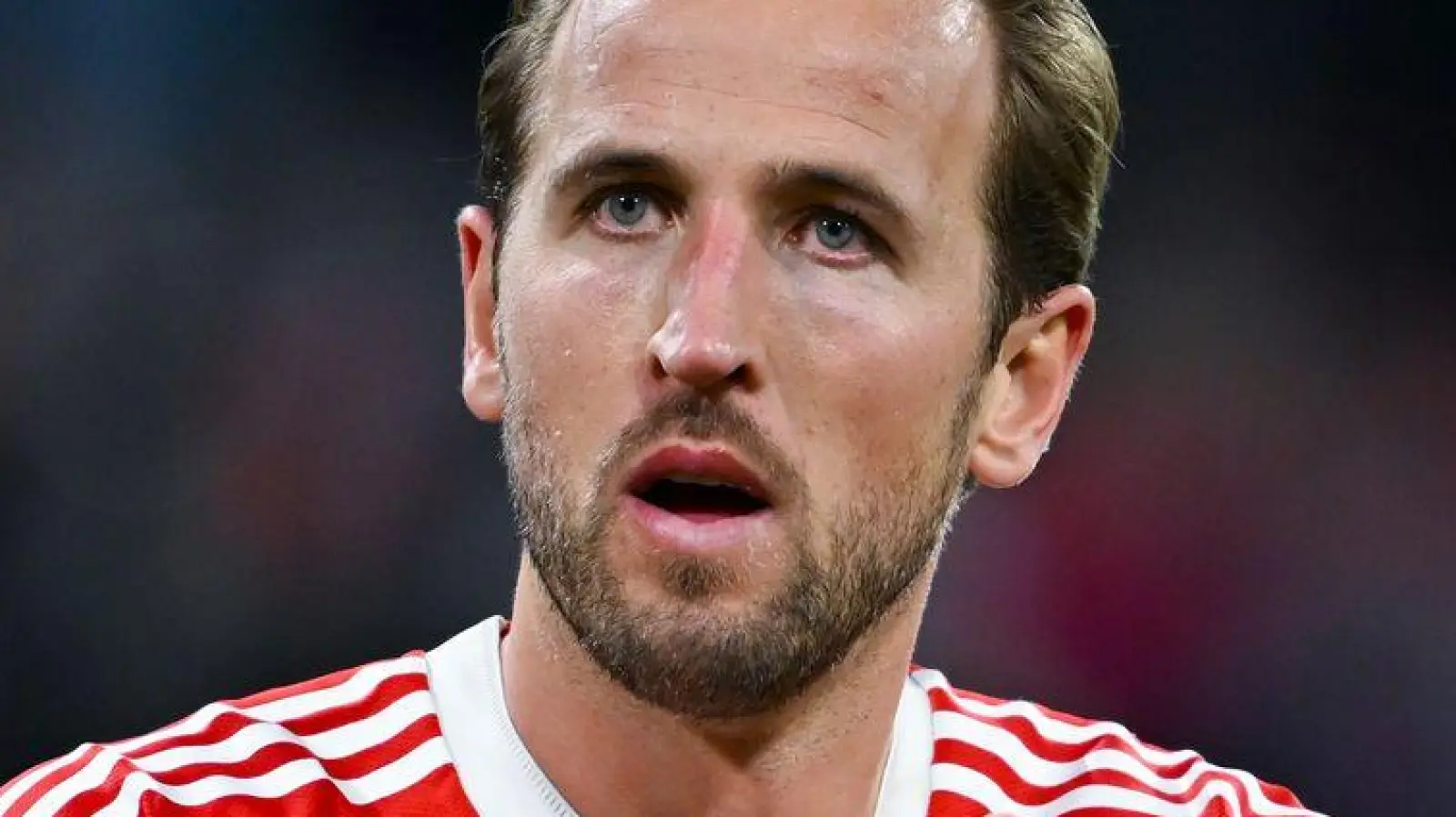 Harry Kane liefert dem FC Bayern aktuell das Rundum-sorglos-Paket. (Foto: Sven Hoppe/dpa)