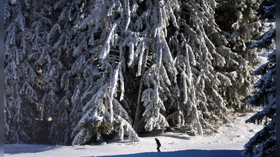 Verglichen mit früheren Jahren fällt nicht nur weniger Schnee, er schmilzt auch schneller dahin. (Archivbild) (Foto: Karl-Josef Hildenbrand/dpa)