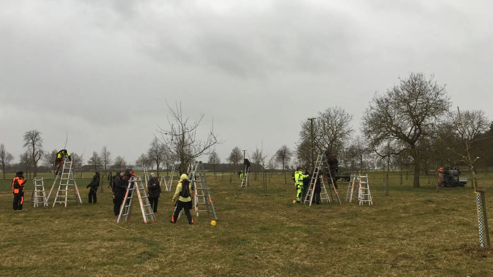 Den richtigen Schnitt lernen: In den Landwirtschaftlichen Lehranstalten in Triesdorf wird die Ausbildung von Baumwarten fortgesetzt.  (Foto: Simon Schnell)