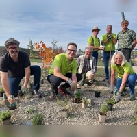 Joris Callens (vorne, von links), Christian von Dobschütz, Herbert Geißendörfer und Ulrike Buchner, sowie (hinten, von links) Andreas Buchner, Hans Roth und Till Hoffmann besetzen das Aromabeet mit Stauden. (Foto: Katrin Merklein)