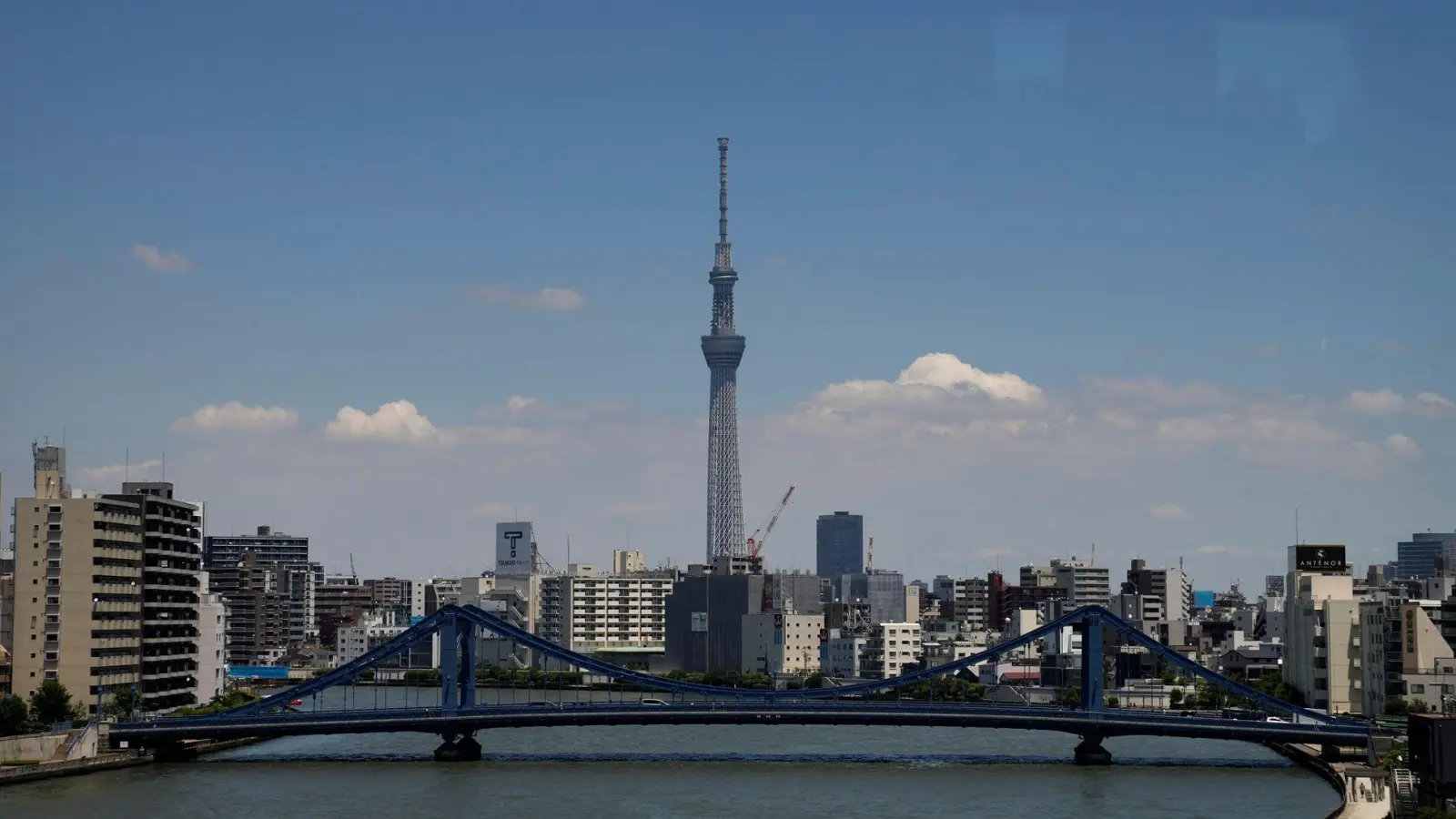 Der berühmte Tokyo Skytree ist der höchste Fernsehturm der Welt. (Archivbild)  (Foto: Jae C. Hong/AP/dpa)