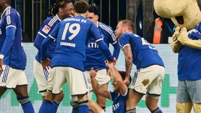 Schalke setzte sich zuhause gegen Spitzenreiter St. Pauli durch. (Foto: Bernd Thissen/dpa)