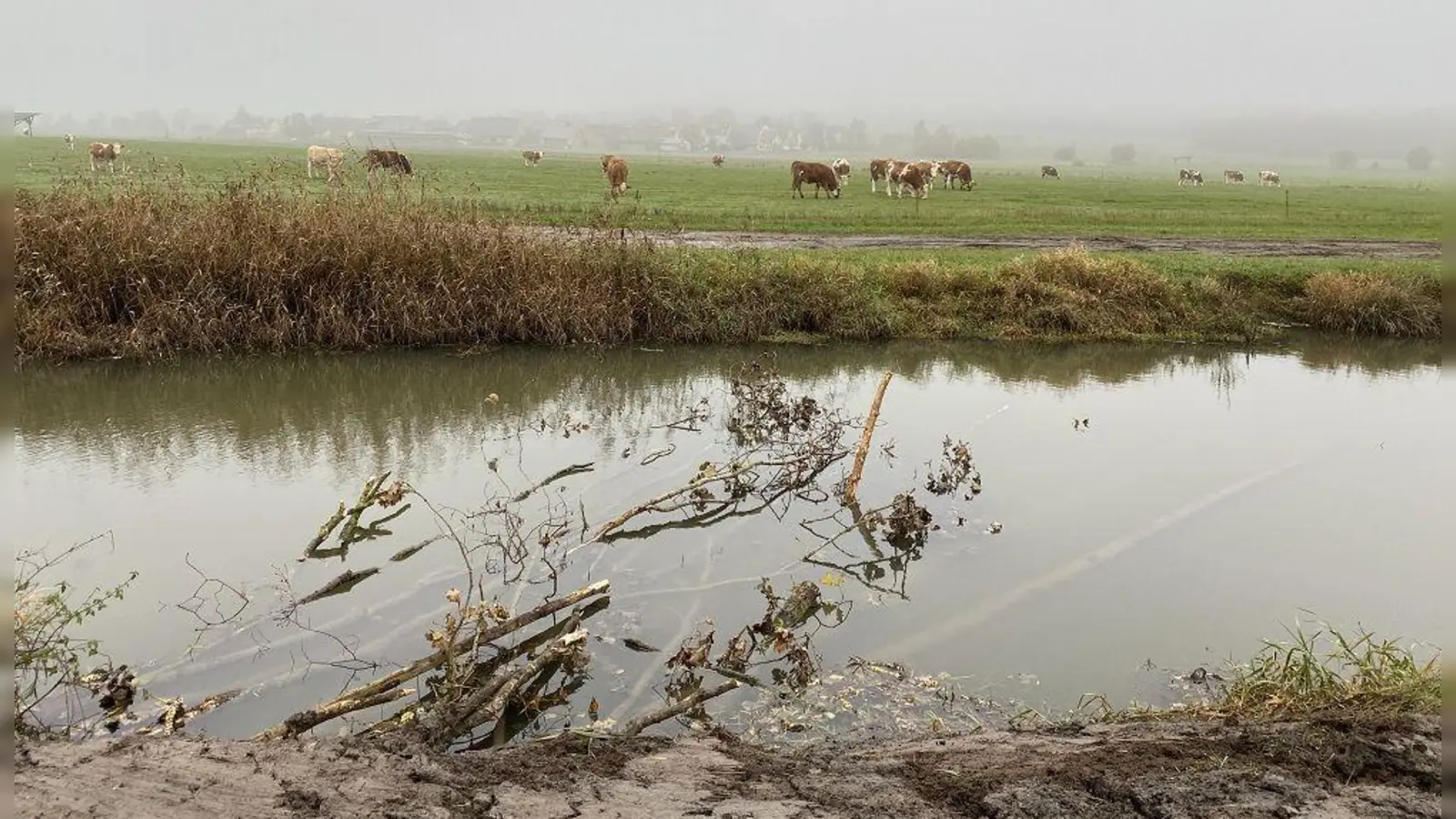 Einbau von Totholz als Lebensraum und Strukturelement.  (Foto: Wasserwirtschaftsamt)