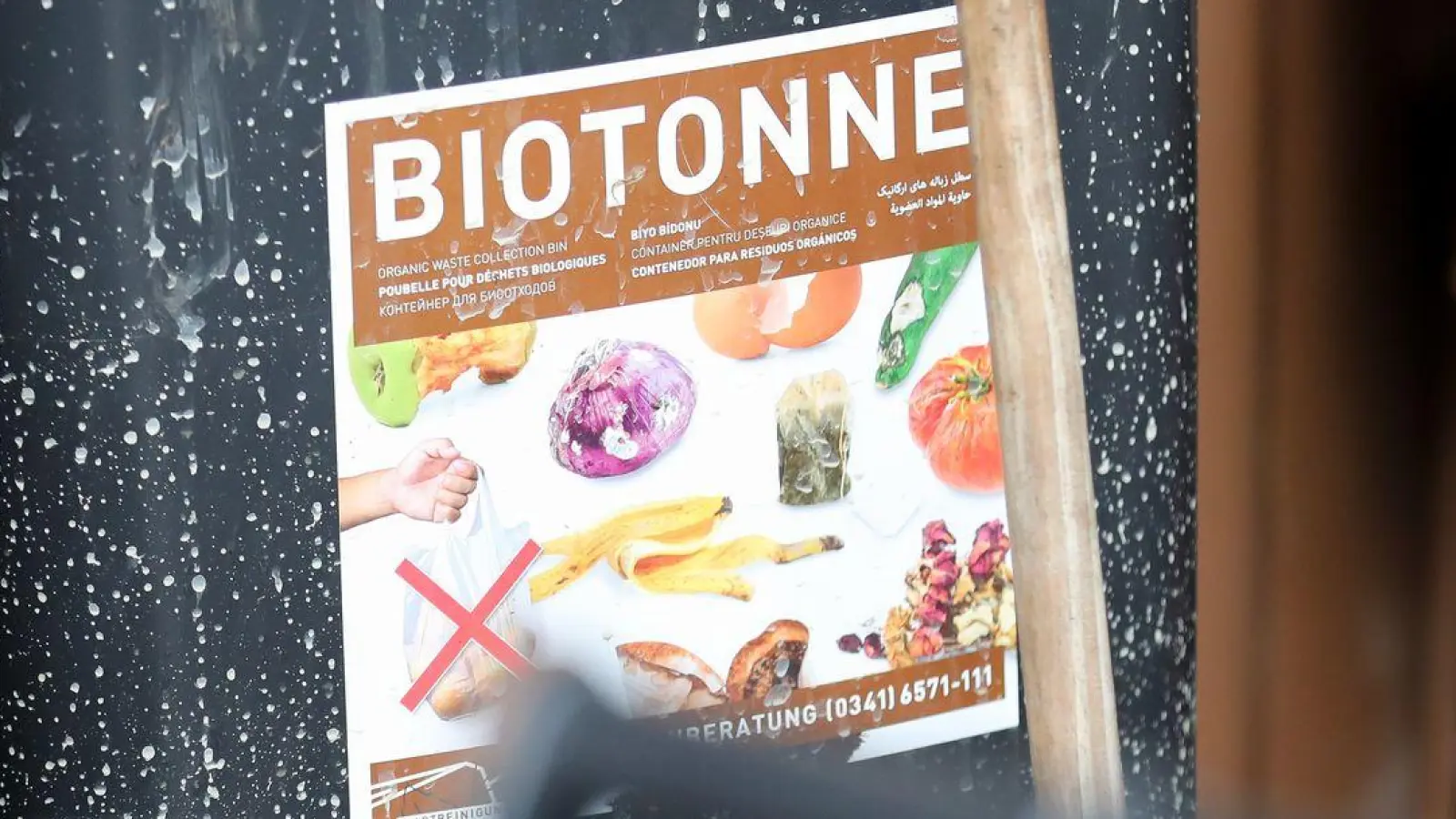 Was darf rein, was nicht? Auf keinen Fall Plastik, Glas, Alufolie und Konservendosen. (Foto: Jan Woitas/dpa-Zentralbild/dpa)