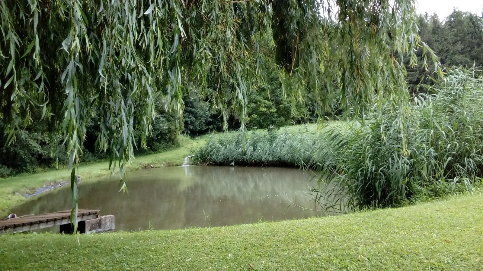 Idylle am Weiher - gesehen bei Wohnbach (Foto: Hannelore Krauß)