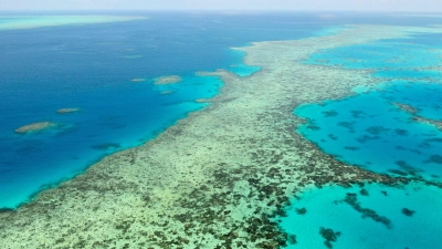 Das Great Barrier Reef gilt als eines der größten Naturwunder der Erde. (Archivbild) (Foto: Uncredited/Kyodo News via AP/dpa)