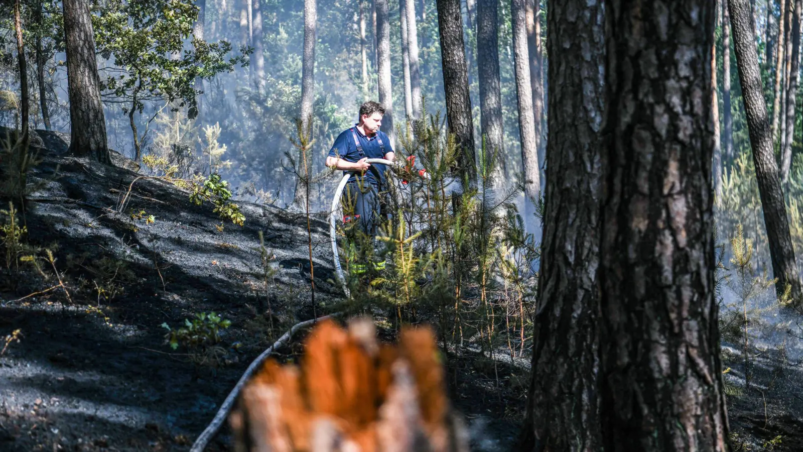 Rund 30.000 Quadratmeter Wald bei Wendelstein südlich von Nürnberg sind am Dienstag in Brand geraten.  (Foto: Jason Tschepljakow/dpa)