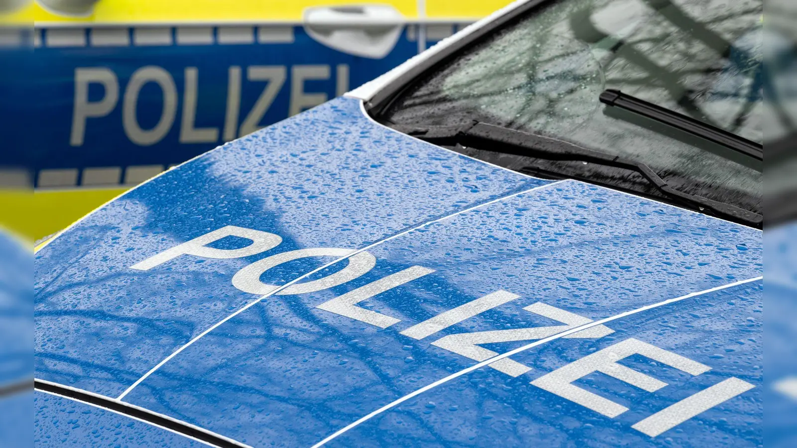Die Polizei sucht nun nach den Jugendlichen. (Symbolbild) (Foto: Soeren Stache/dpa)