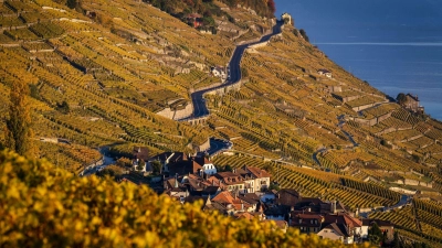 Der Kanton Waadt ist durch Weinanbau geprägt. (Archivbild) (Foto: Jean-Christophe Bott/KEYSTONE/dpa)
