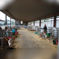 Heidi Schmidt vom Milchviehbetrieb Baudenbach in der Kälberkrippe. (Foto: Astrid Pirner)