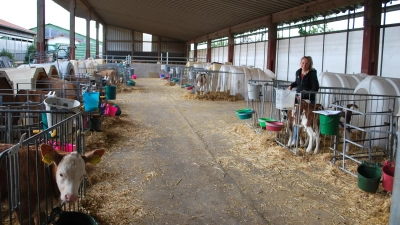 Heidi Schmidt vom Milchviehbetrieb Baudenbach in der Kälberkrippe. (Foto: Astrid Pirner)