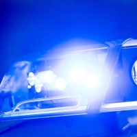 Die Polizei hält einen Kleintransporter auf der A9 an. (Symbolbild) (Foto: Lino Mirgeler/dpa)