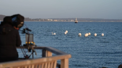 Das Tier ist an der Ostseeküste vor Timmendorfer Strand nicht mehr zu sehen.  (Foto: Marcus Brandt/dpa)