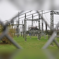 Ein Marder in Teilen Scheinfelds kurzzeitig einen Stromausfall ausgelöst. Er hatte sich in einem Umspannwerk herumgetrieben. (Symbolbild: Wolfgang Grebenhof)