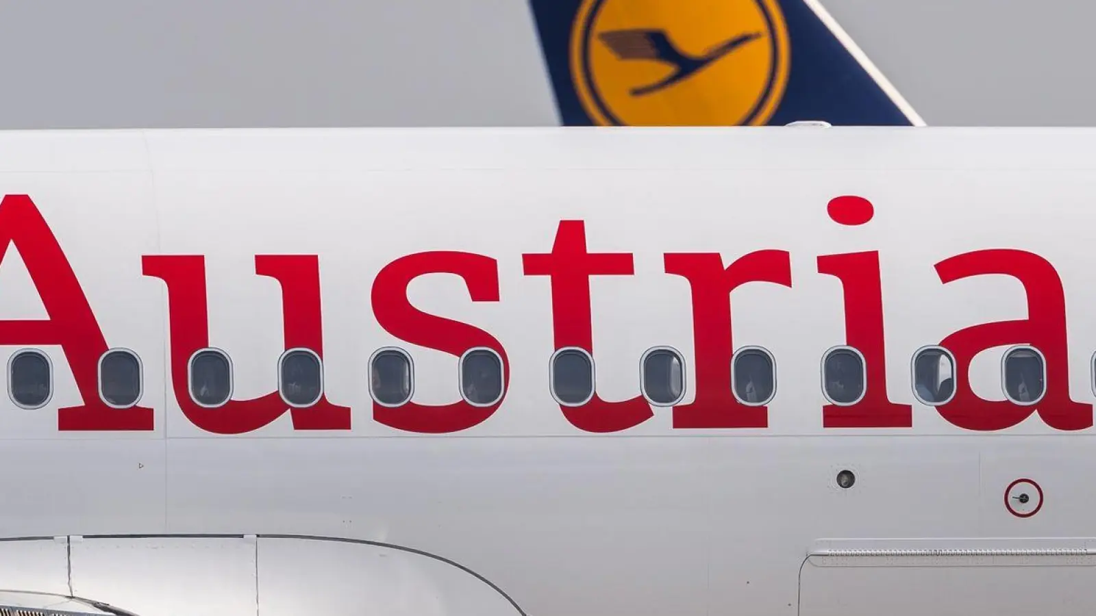 Rund 50.000 Passagiere sind von den Flugausfällen bei Austrian Airlines betroffen (Archivbild). (Foto: Silas Stein/dpa)