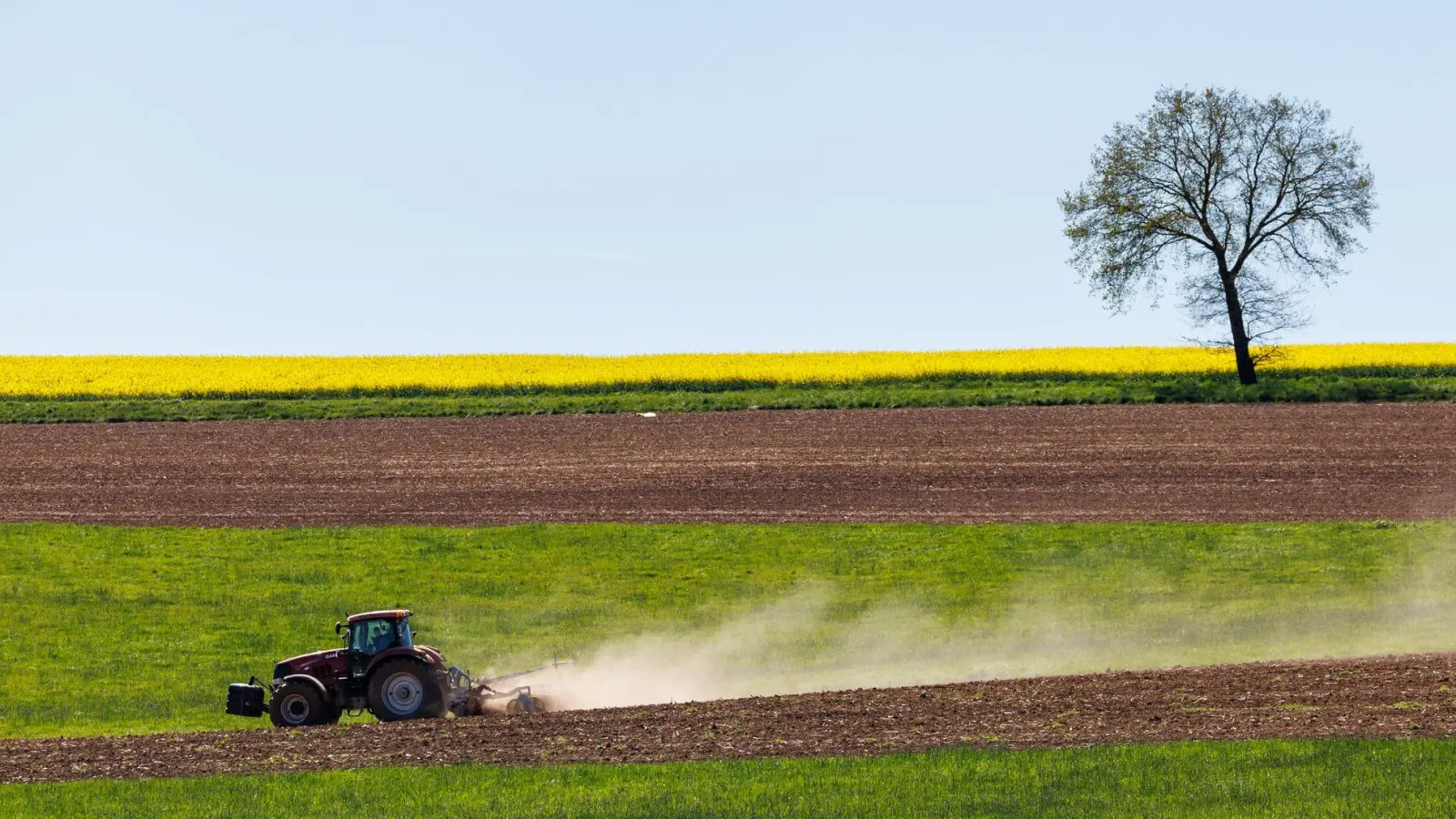 Die Fahrt mit einem Traktor endete für eine 71-Jährige mit einem Kabelbrand, der an der Zugmaschine entstanden ist.  (Symbolbild: Daniel Karmann/dpa)