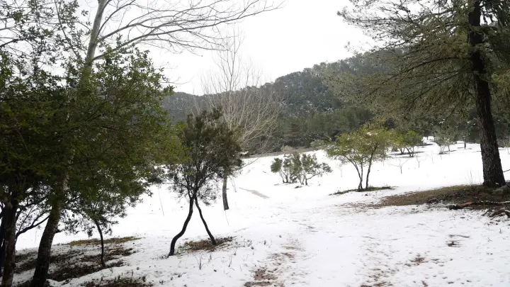Die Serra de Tramuntana auf Mallorca ist aktuell schneebedeckt. (Foto: Isaac Buj/EUROPA PRESS/dpa)