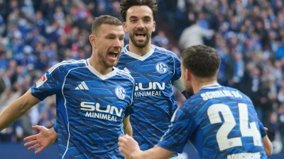 Schon drei Mal gejubelt, aber noch kein Mal gewonnen: Neuzugang Edin Dzeko (links) wartet trotz dreier Treffer noch auf seinen ersten Sieg mit Schalke (Archivbild). (Foto: Bernd Thissen/dpa)