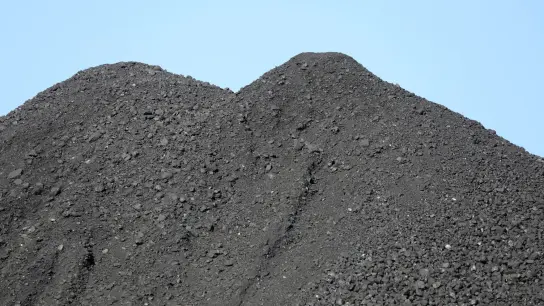 Die EU-Staaten dürfen von diesem Donnerstag an keine Kohle mehr aus Russland importieren. (Foto: Bernd Wüstneck/dpa-Zentralbild/dpa)