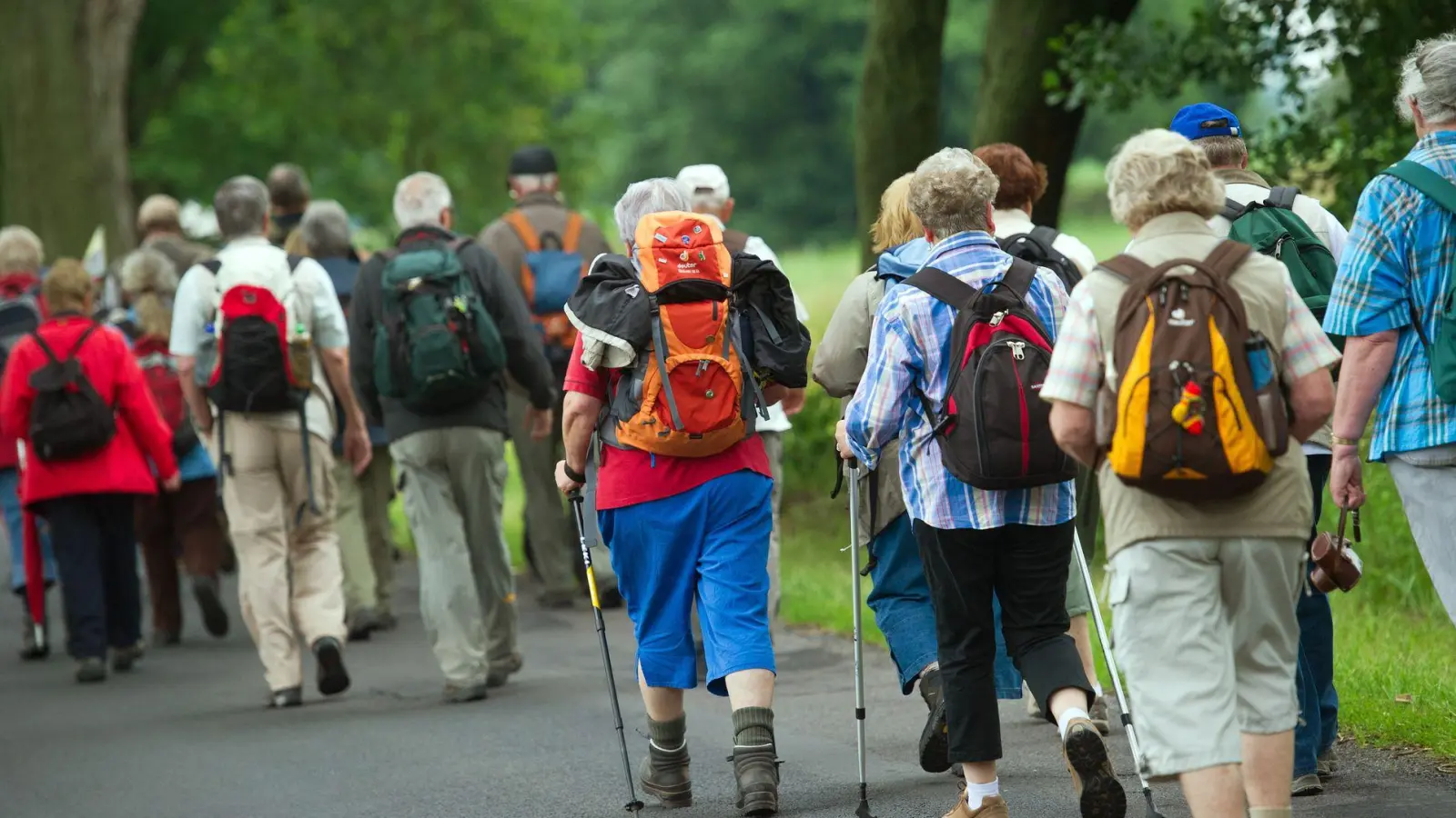 Bei körperlich aktiven Menschen mit präklinischem - also noch symptomlosem - Alzheimer wurde ein geringerer kognitiver Abbau als bei körperlich inaktiven erfasst. (Symbolbild) (Foto: Patrick Pleul/dpa-Zentralbild/dpa)