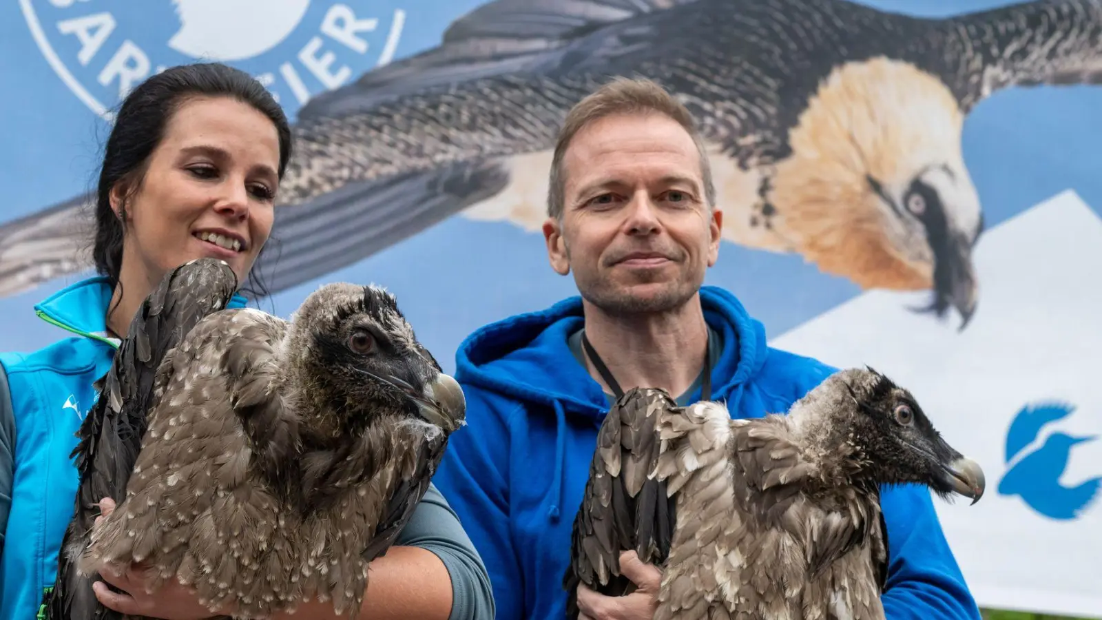 Großer Auftritt für große Vögel: Generl und Luisa. (Foto: Peter Kneffel/dpa)