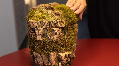 Die Bestatterin Susanne Lategahn zeigt eine Urne aus Kork, Rinde und Moos. (Foto: Dieter Menne/dpa)
