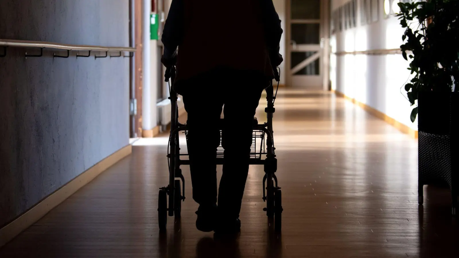 Pflegebedürftige müssen heuer länger auf das Landespflegegeld warten. (Symbolbild) (Foto: Sven Hoppe/dpa)