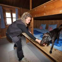 Hund Linus und seine Hundeführerin Laura Pannasch auf der Suche nach der Wanze.  (Foto: Karl-Josef Hildenbrand/dpa)