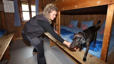 Hund Linus und seine Hundeführerin Laura Pannasch auf der Suche nach der Wanze.  (Foto: Karl-Josef Hildenbrand/dpa)