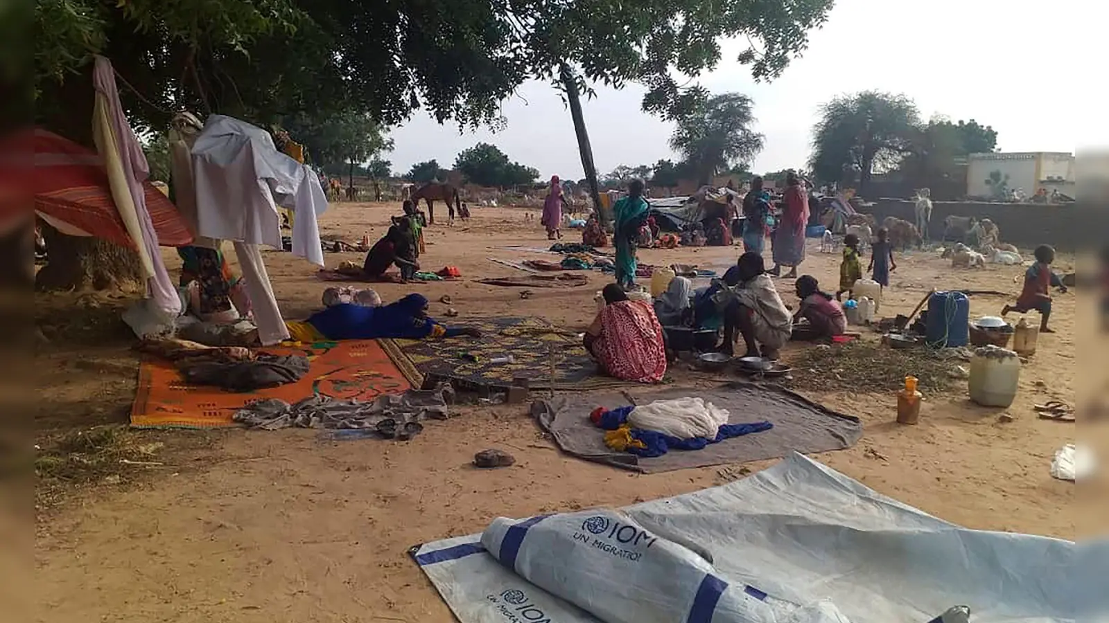 Die sudanesische Regierung hat Mitarbeiter des Welternährungsprogramms (WFP) im Sudan des Landes verwiesen. (Archivbild) (Foto: Mustafa Younes/dpa)