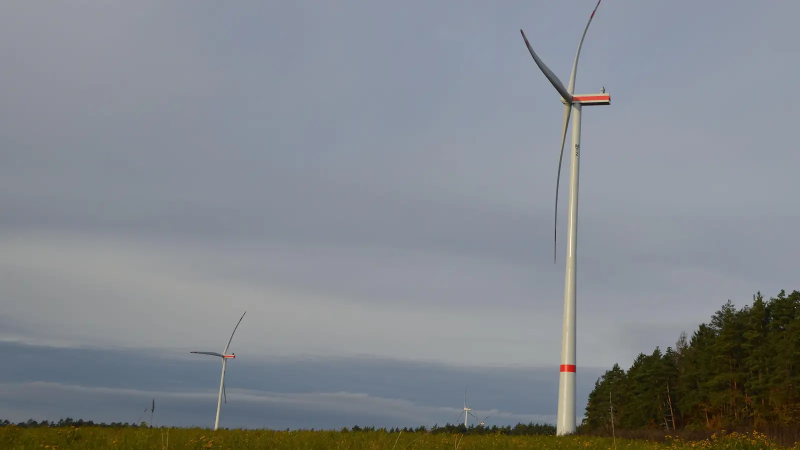 Insgesamt sieben Anlagen sollen im Viersternwald auf den Gemarkungen von Dietersheim, Markt Erlbach und Neustadt entstehen. Aber es sind noch nicht alle Hürden ausgeräumt. (Symbolbild: Johannes Zimmermann)