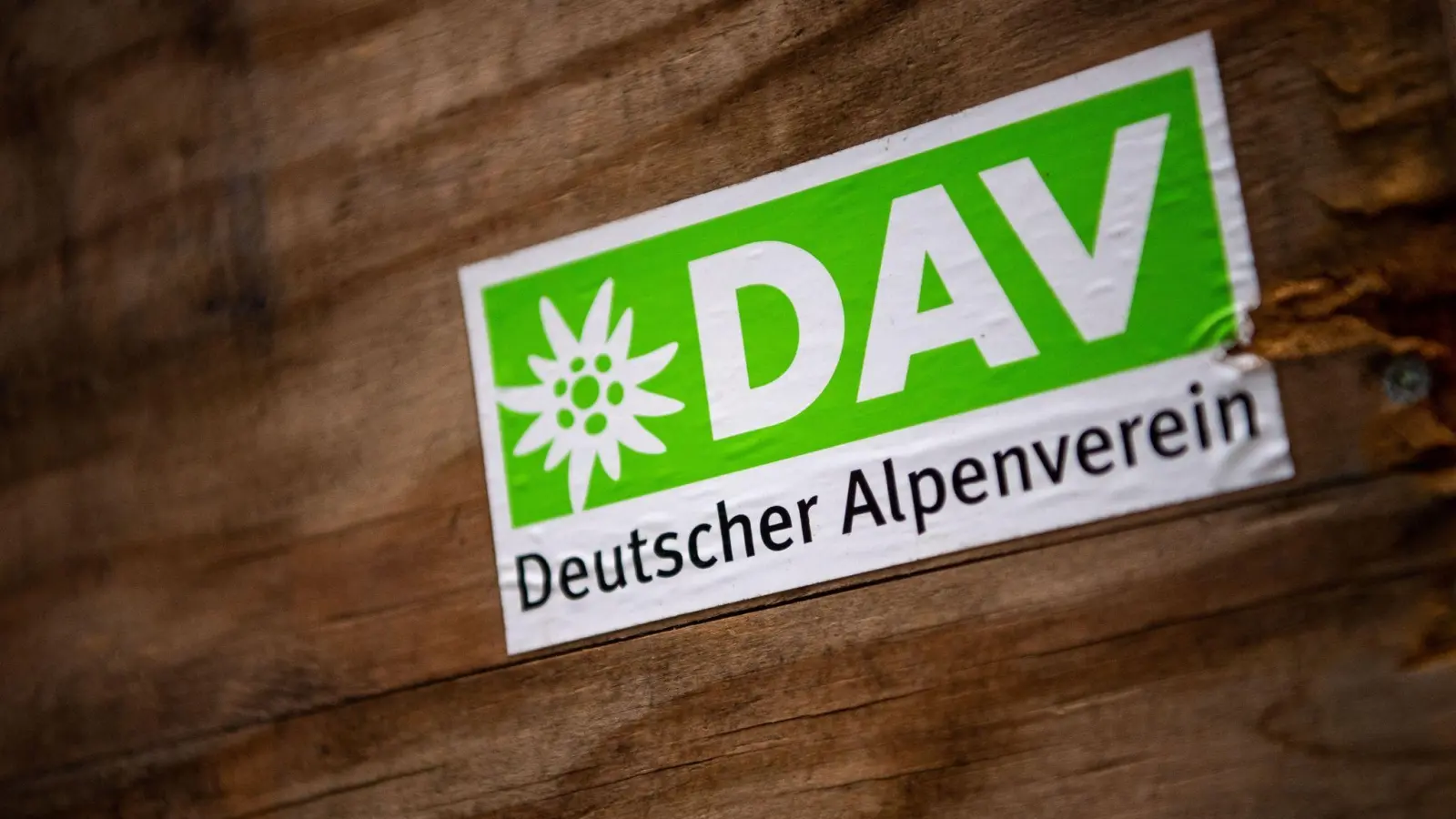 Das Logo des Deutschen Alpenverein (DAV) klebt auf einer Holzbox. (Foto: Lino Mirgeler/dpa)