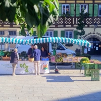 Freitags ist Wochenmarkt vor dem Klosterverwalterhaus. Eine Maßnahme zur Belebung der Innenstadt, die das Citymanagement angestoßen hat, so Stadträtin Gabi Schaaf. (Foto: Eckard Dürr)