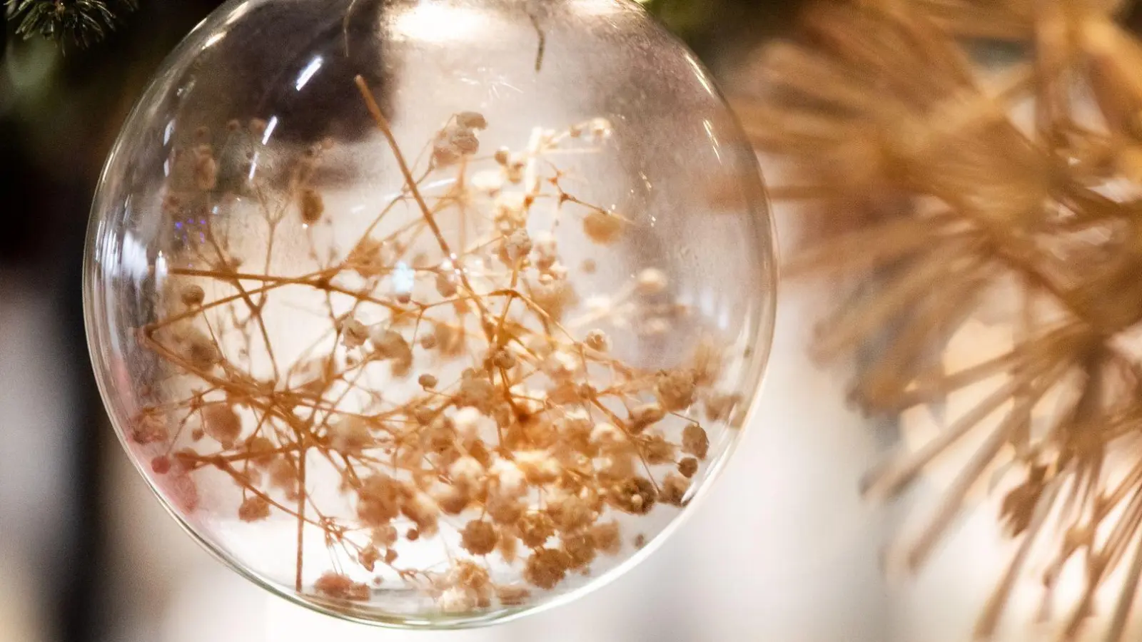 Filigran: mit Trockenblumen gefüllte transparente Christbaumkugel. (Foto: Franziska Gabbert/dpa-tmn)