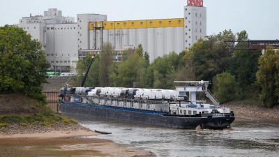 Viel Schiff, wenig Wasser: Dieses Frachtschiff hatte sich auf einer Sandbank im Düsseldorfer Hafen festgefahren.  (Foto: Christoph Reichwein/dpa)