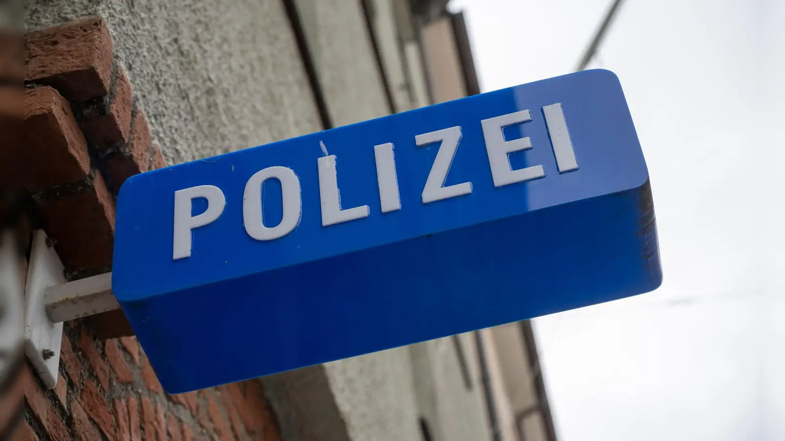 Am Montag wurde die Leiche bei Waldarbeiten im Landkreis Kehlheim entdeckt. (Symbolbild) (Foto: Peter Kneffel/dpa)