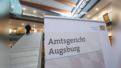 Weil er bei einem AfD-Sommerfest den Holocaust geleugnet haben soll, musste ein 64-Jähriger in Augsburg vor Gericht. Letztlich wurde er aber freigesprochen. (Symbolbild) (Foto: Karl-Josef Hildenbrand/dpa)