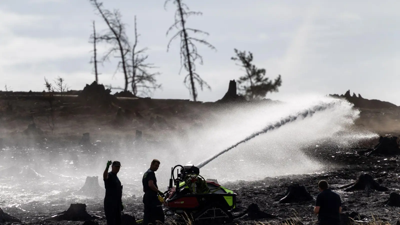 Feuerwehrleute bekämpfen versteckte Glutnester beim Waldbrand auf der Saalfelder Höhe. (Foto: Michael Reichel/dpa)