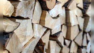 Trockenes, gespaltenes Holz mit weniger als 20 Prozent Feuchtigkeit ist ideales Feuerholz für Ofen und Kamin. (Foto: Daniel Maurer/dpa-tmn)