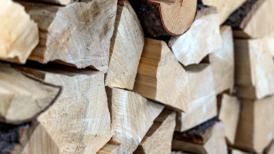 30 Scheite Brennholz fand die Polizei bei einer E-Bike-Fahrerin und einem Fahrradfahrer. (Symbolbild: Daniel Maurer/dpa-tmn)