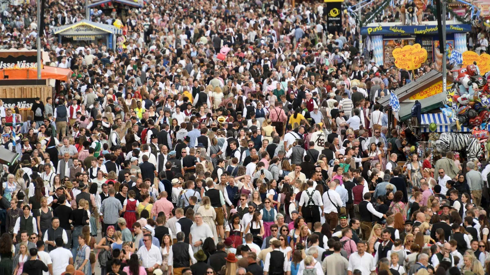 Millionen Besucher zog es auch in diesem Jahr wieder auf die Wiesn. (Foto: Felix Hörhager/dpa)