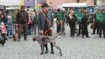 Im Rahmen des Martinimarktes am Sonntag plant die Jägervereinigung Feuchtwangen ab 14 Uhr auf dem Marktplatz wieder ein Jagdmusikkonzert mit Jagdhundevorstellung. (Foto: Herbert Dinkel)