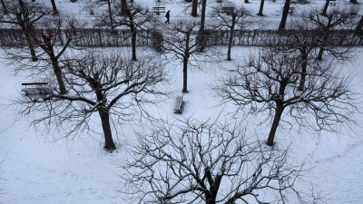Sonne und Wolken wechseln sich ab, doch der Frost bleibt bis Freitag Dauergast. (Symbolbild) (Foto: Karl-Josef Hildenbrand/dpa)