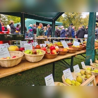 Führungen, Marktstände und kulinarische Genüsse: Der Burgbernheimer Streuobsttag ist in der Region eine beliebte Großveranstaltung.  (Archivbild: Anna Franck)