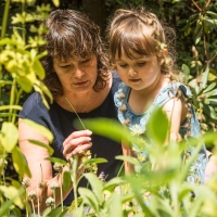 Wer ein kleines Kind mit Entdeckungslust hat, sollte genau prüfen, welche Pflanzen im Garten einziehen. (Foto: Christin Klose/dpa-tmn)